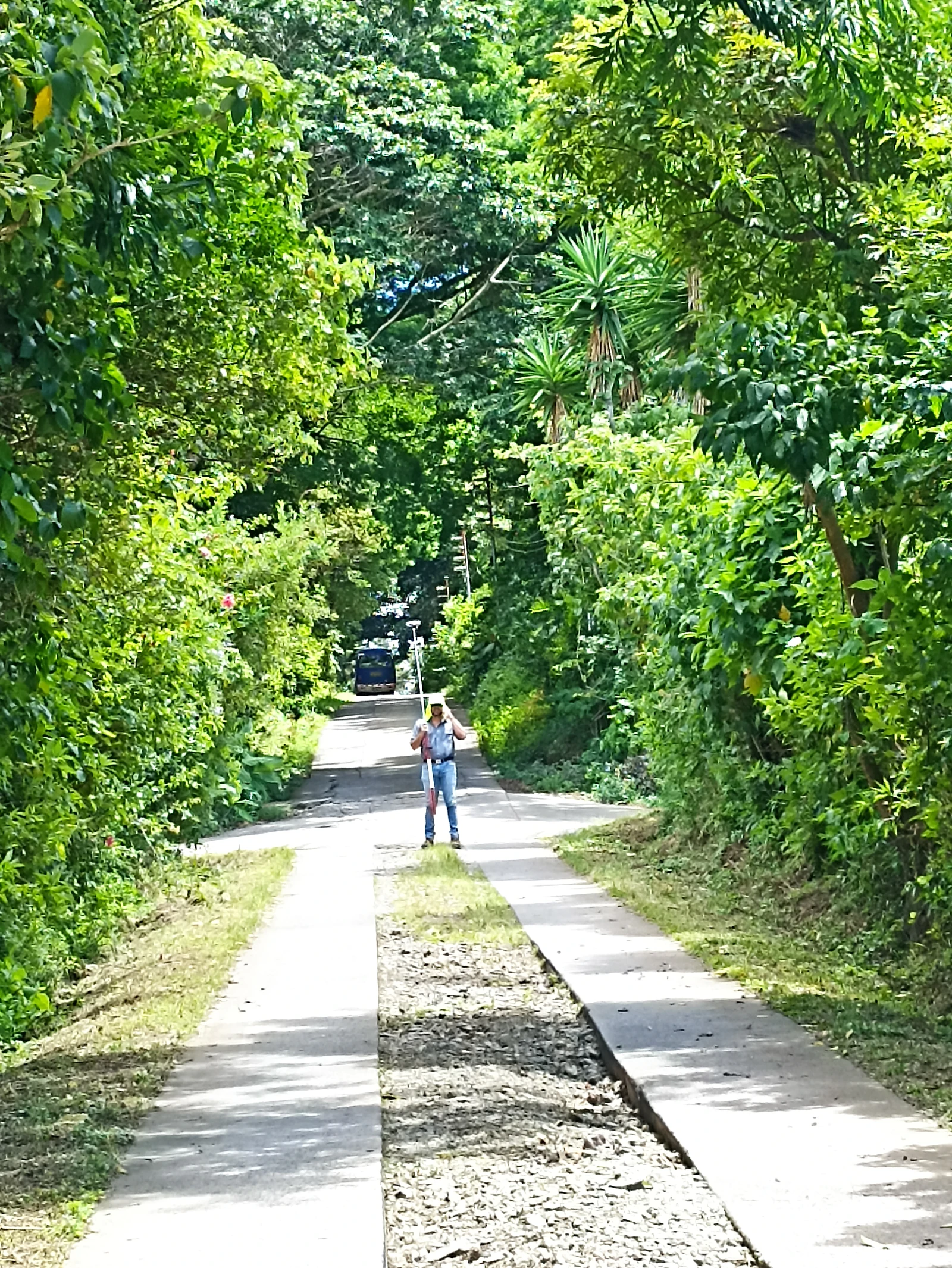 Survey of a concrete access road through vegetation, with a surveyor in the distance