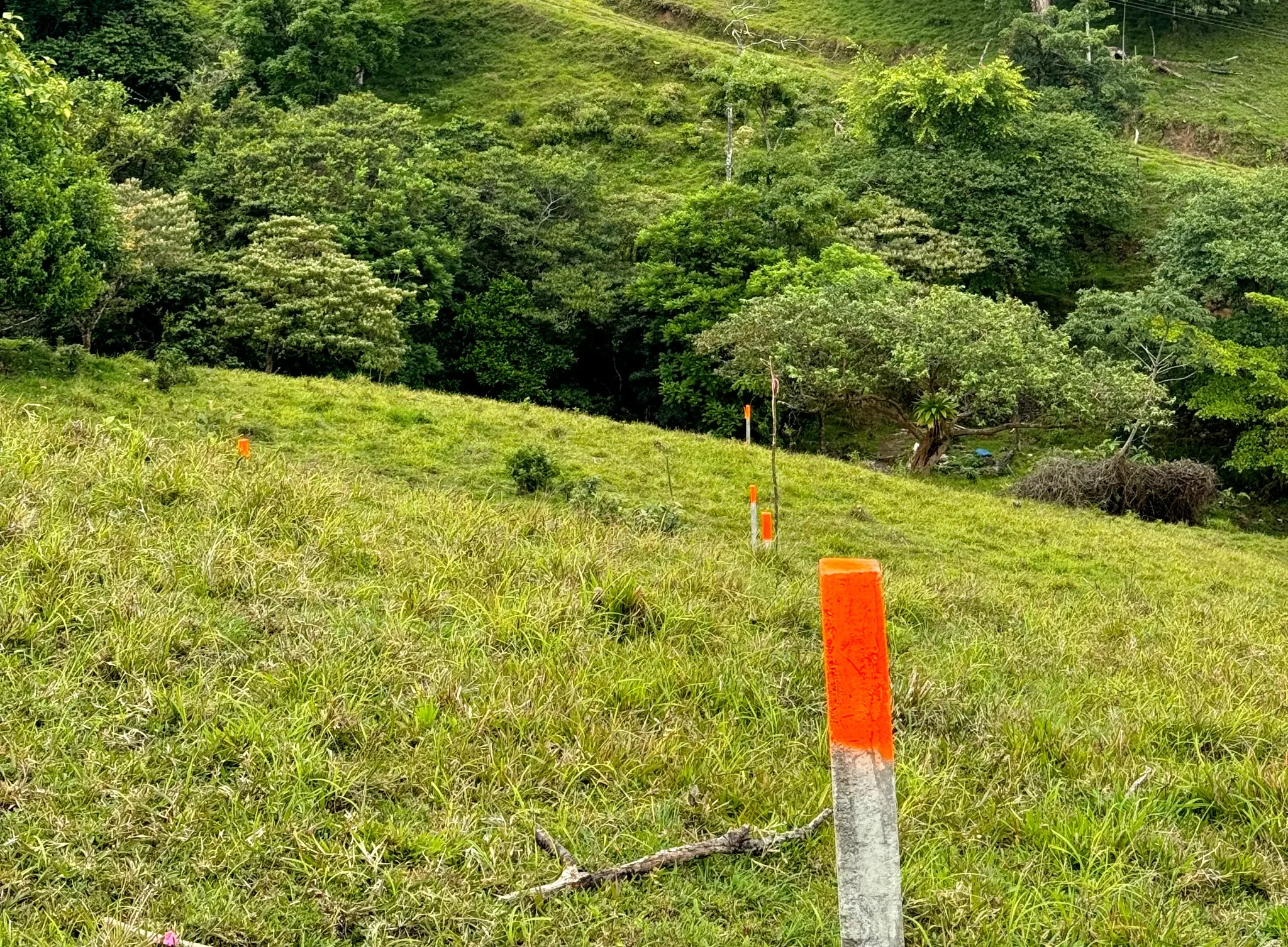 Marked reference points on a site