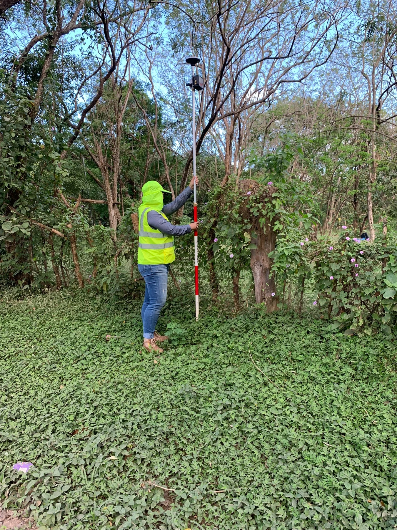 Medición con equipo GNSS en un terreno con vegetación