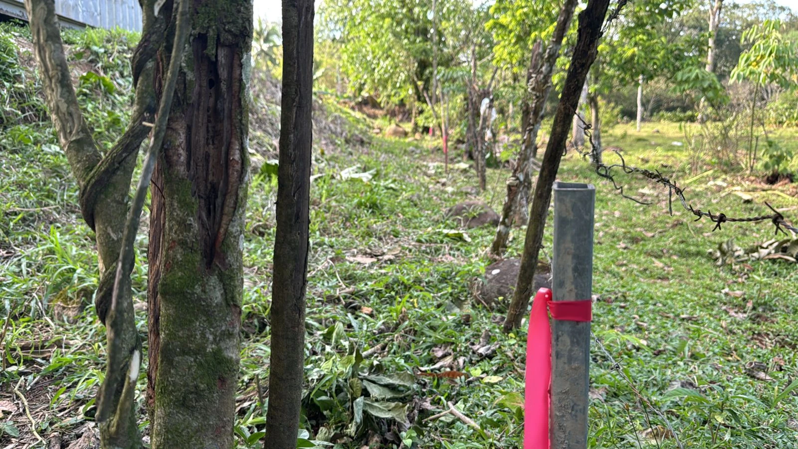 Reference post with marking tape beside a fence